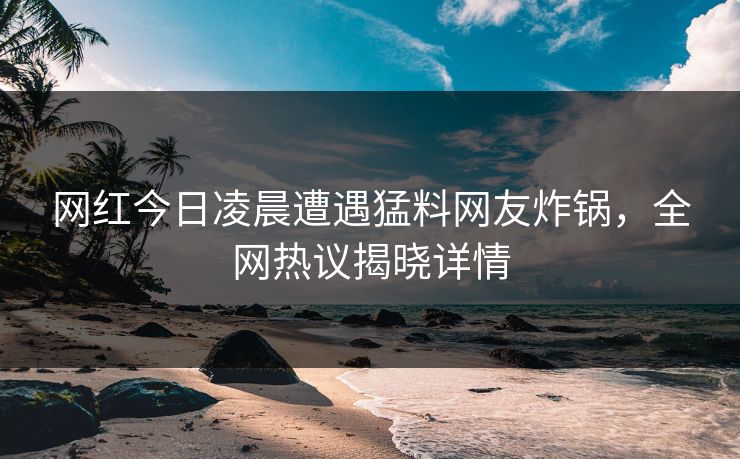 网红今日凌晨遭遇猛料网友炸锅，全网热议揭晓详情