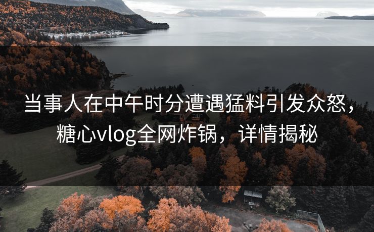 当事人在中午时分遭遇猛料引发众怒,糖心vlog全网炸锅,详情揭秘 当事人在中午时分遭遇猛料引发众怒,糖心vlog全网炸锅,详情揭秘