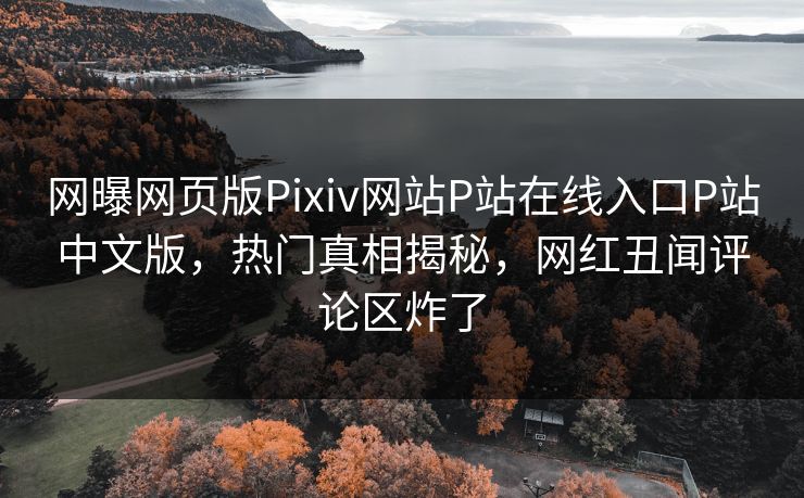 网曝网页版Pixiv网站P站在线入口P站中文版，热门真相揭秘，网红丑闻评论区炸了
