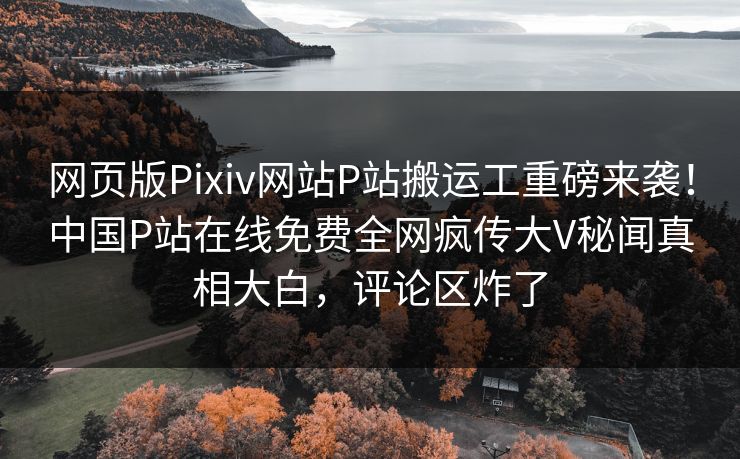 网页版Pixiv网站P站搬运工重磅来袭！中国P站在线免费全网疯传大V秘闻真相大白，评论区炸了