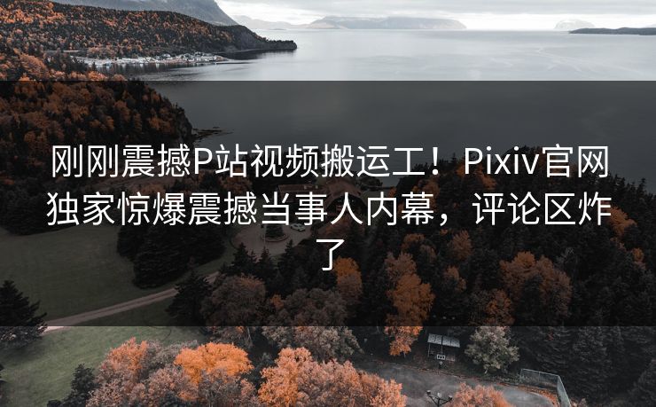 刚刚震撼P站视频搬运工！Pixiv官网独家惊爆震撼当事人内幕，评论区炸了
