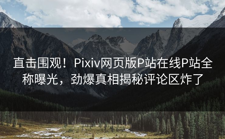 直击围观！Pixiv网页版P站在线P站全称曝光，劲爆真相揭秘评论区炸了