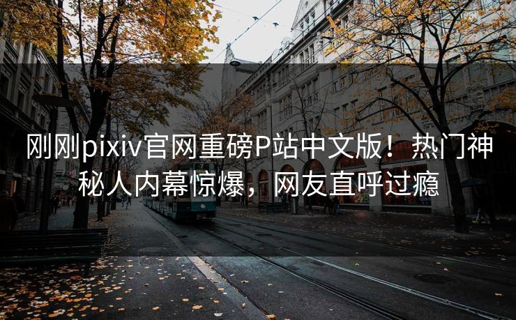 刚刚pixiv官网重磅P站中文版！热门神秘人内幕惊爆，网友直呼过瘾