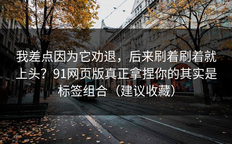 我差点因为它劝退，后来刷着刷着就上头？91网页版真正拿捏你的其实是标签组合（建议收藏）
